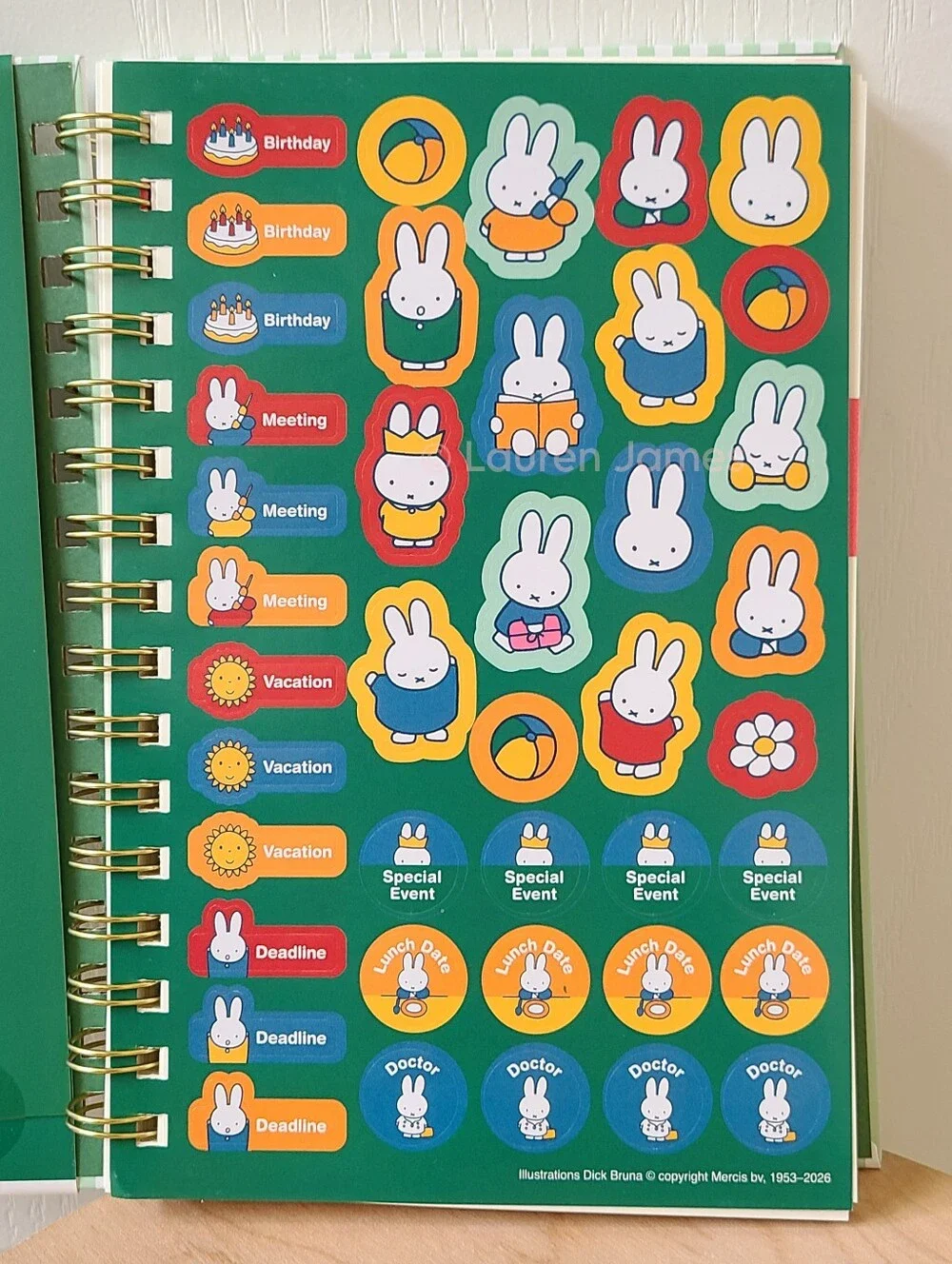 Miffy Mint Green Striped Planner and Magnetic Pencil Case Set